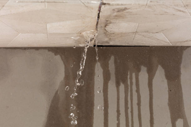 Professional Flood Damage Cleanup technician working in Suring, WI